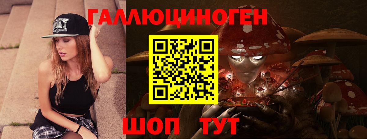 Печора  Псилоцибиновые грибы мицелий  Вход с VPN 
